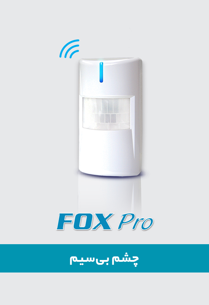 Classic Fox Pro